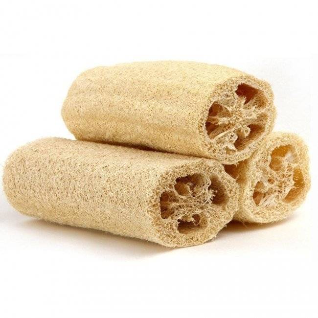 esponjavegetalluffaexfoliantebanopielguiadeusodnqnp785321mlv20762221381062016f660x650.jpg