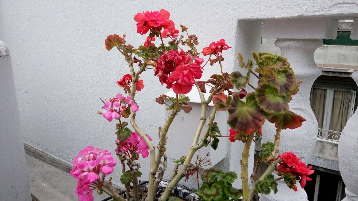 foto3.jpg