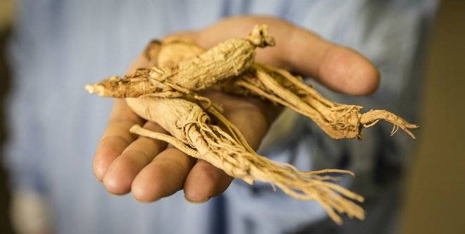 ginseng.jpg