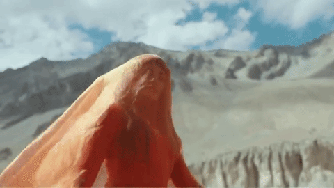 giphy2.gif