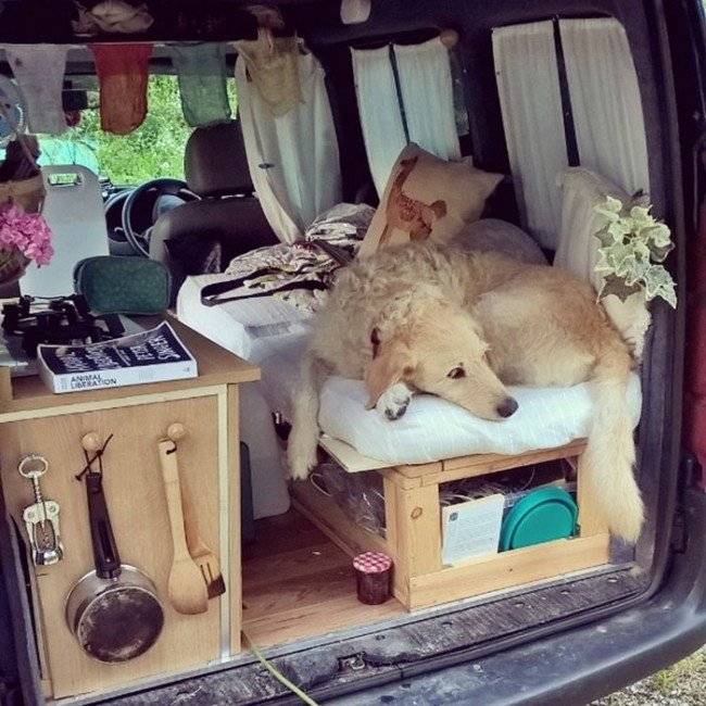 girlrestoresvantravelswithdogmarinapiro16660x650.jpg