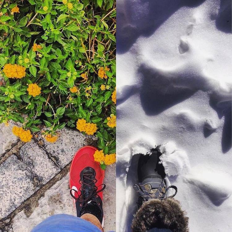 halfhalftravel17.jpg
