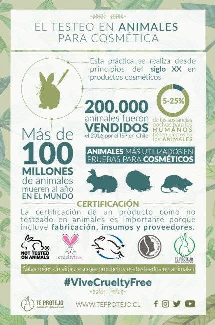 infografc3adadmal1660x650.jpg