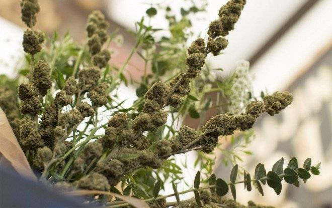 lowellfarmscannabisbouquet04660x650.jpg