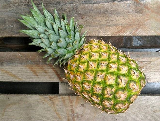 pineapple6427231280.jpg