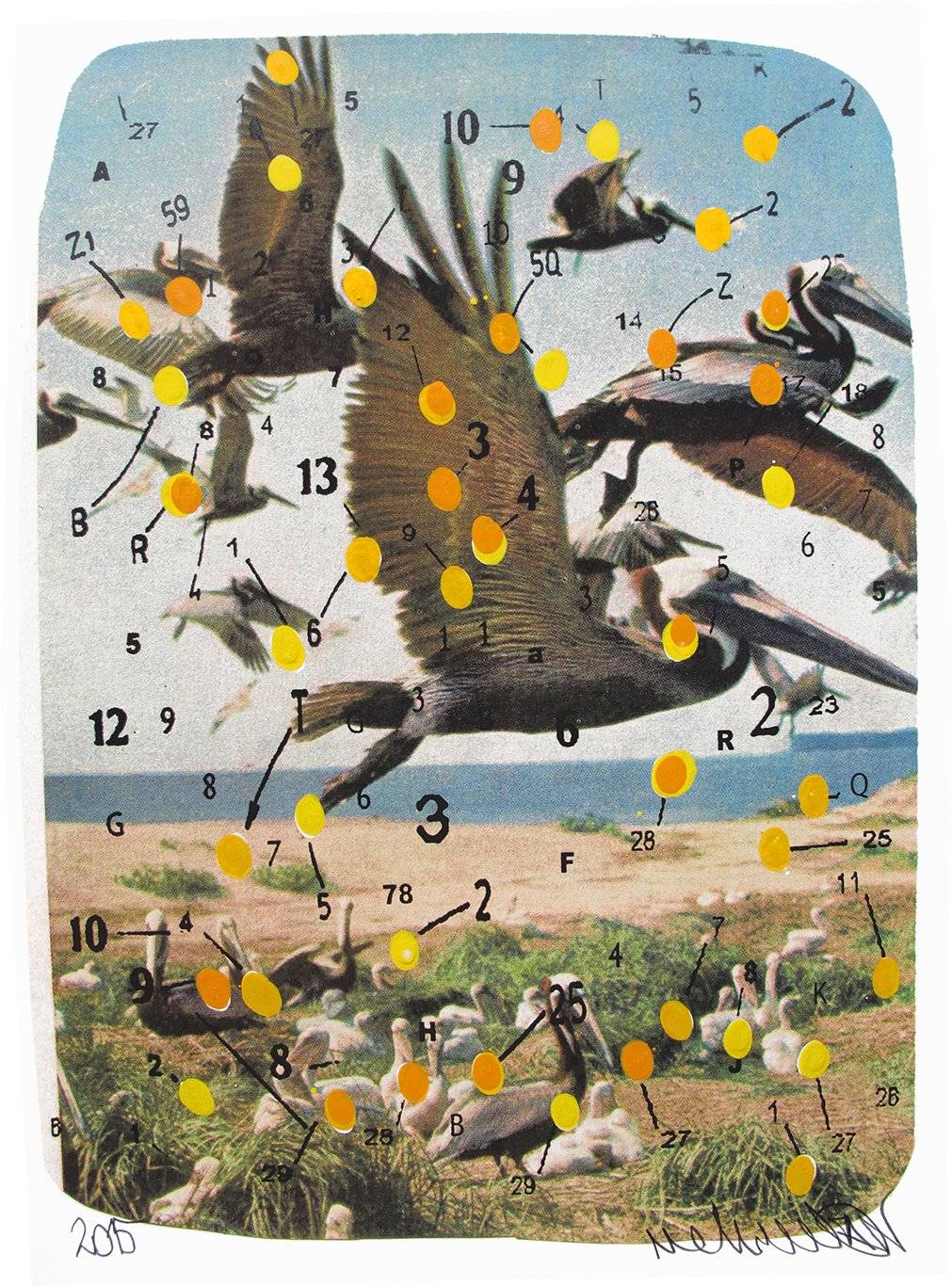 tanvargas5.jpg