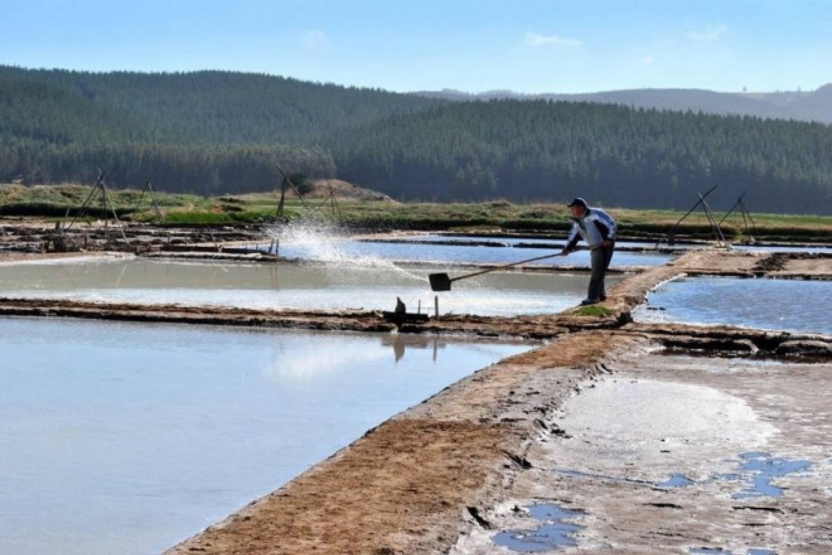 Sal de mar a nuestras mesas: protegiendo la salud y el patrimonio