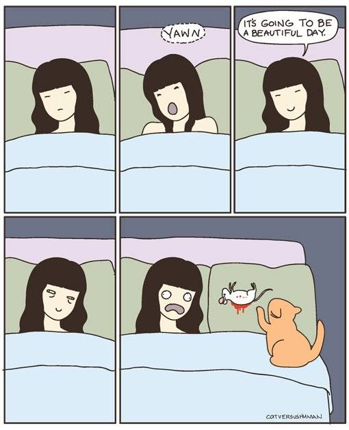 57691596233d34b7bedbo.jpg