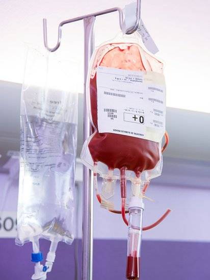 sangue