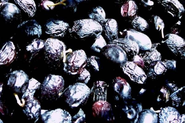 Hacer aceitunas caseras con sosa