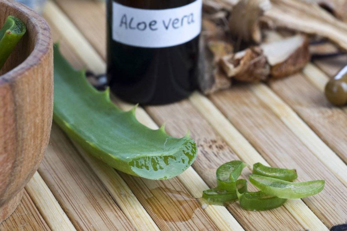 aloeveraparalacara.jpg