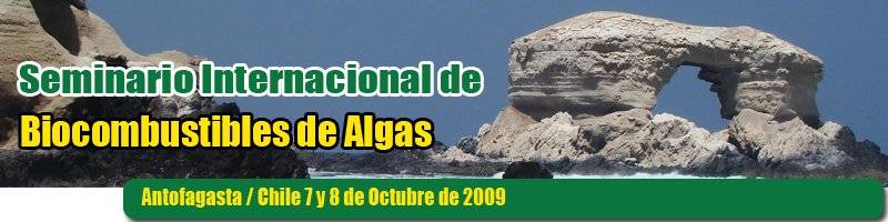 banner01.jpg