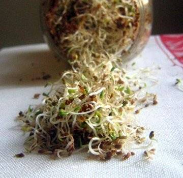brotes360x350.jpg
