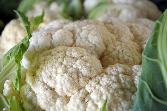 cabbage97649612801660x550.jpg