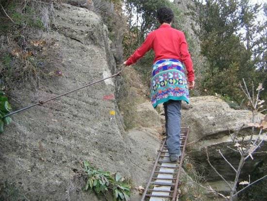 camino2.jpg