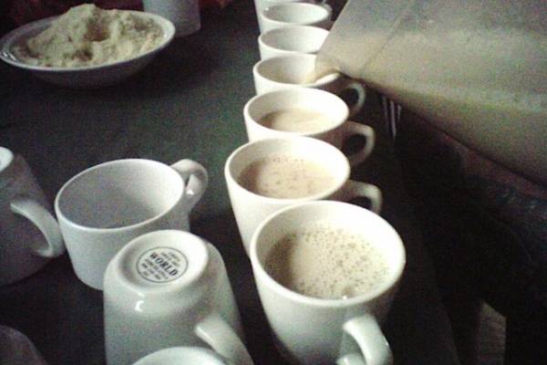 Chai ayurveda propiedades te