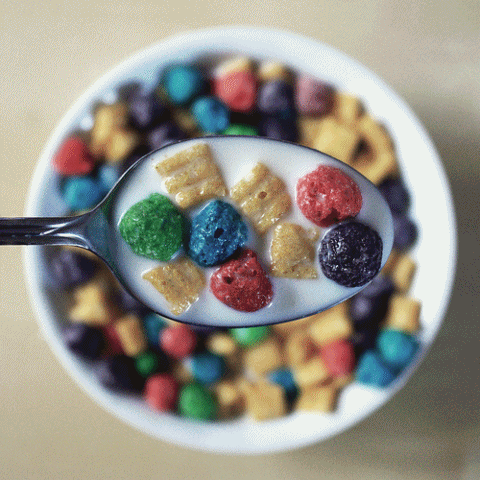 comida2.gif