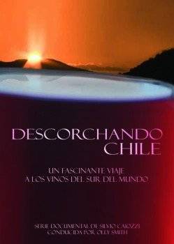 desorchandochile249x350.jpg