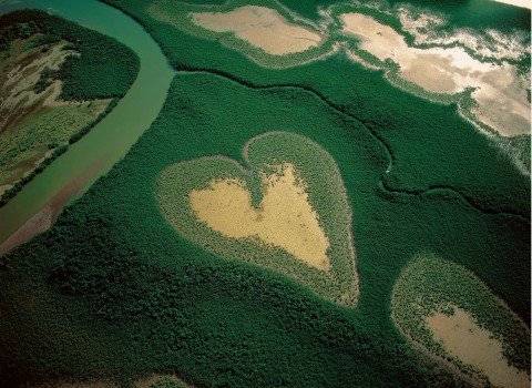 earthfromabove480x350.jpg