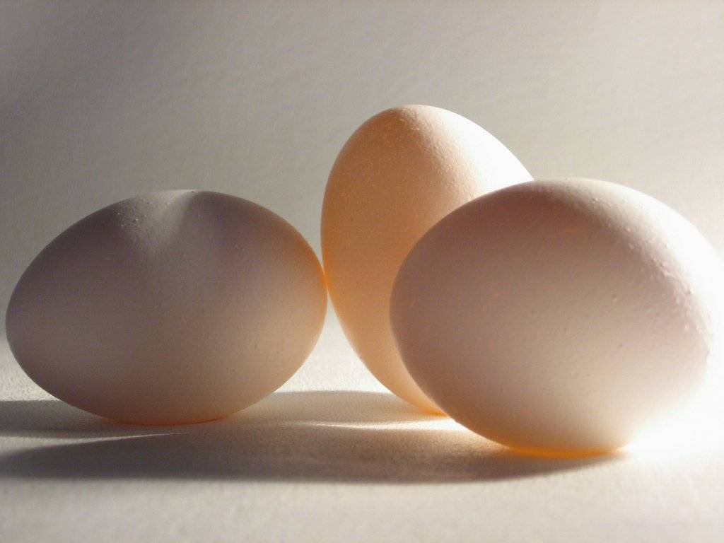 eggs-1.jpg