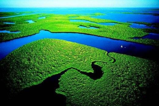 evergladesfl520x348.jpg