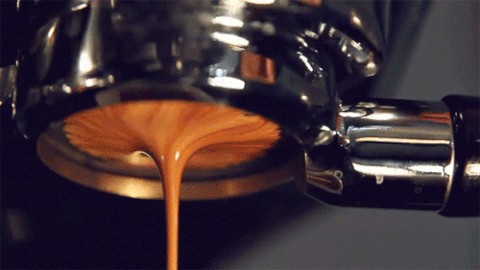 giphy-14.gif