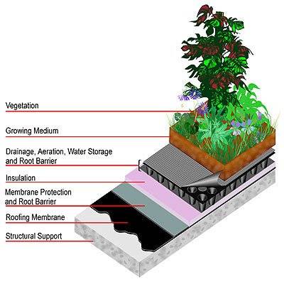 greenroofdiagram.jpg
