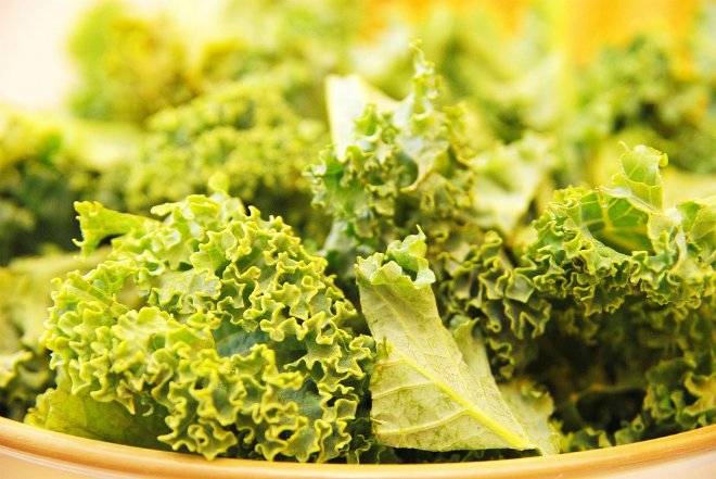 kale792988960720.jpg