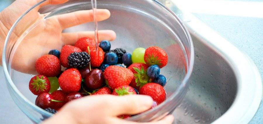 lavarfrutas2.jpg