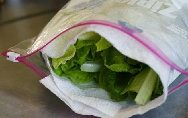 lettuce-1.jpg