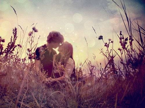 lovekissfieldcouplenatureromantic3726c5b06abe04848c53796abf1abbafh.jpg