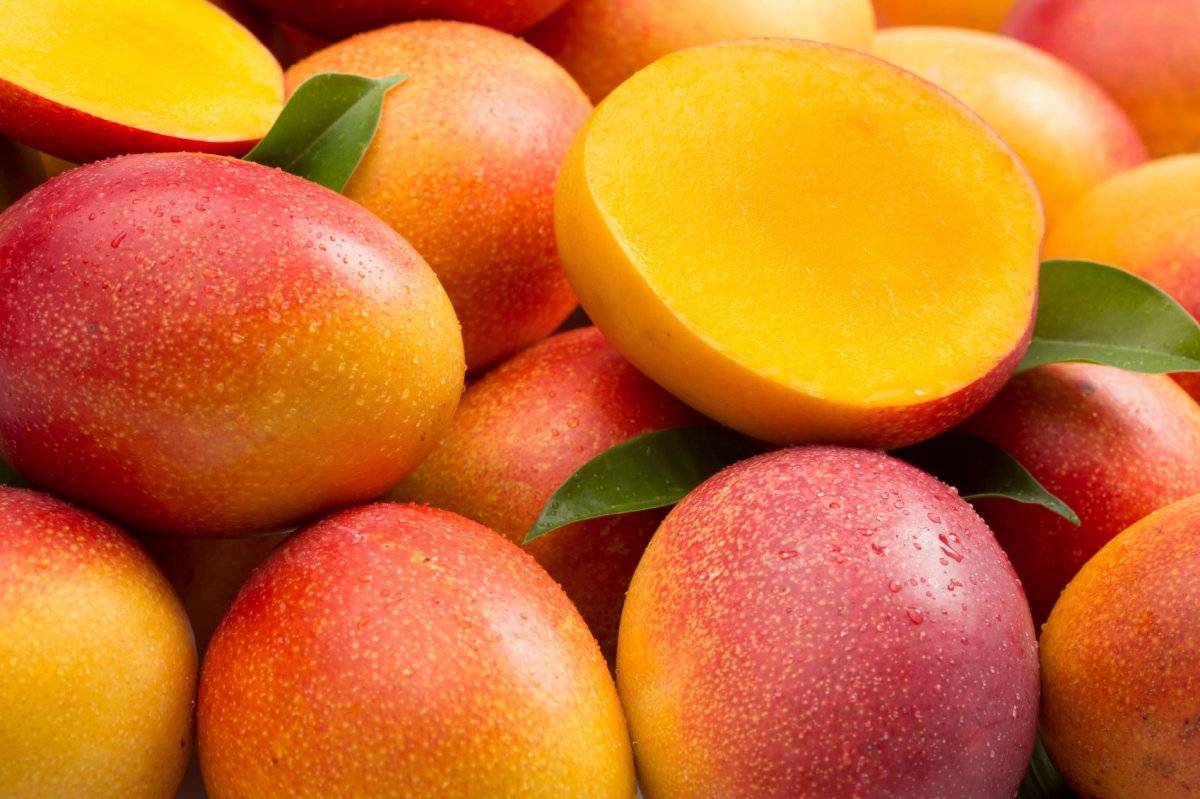 mango5.jpg