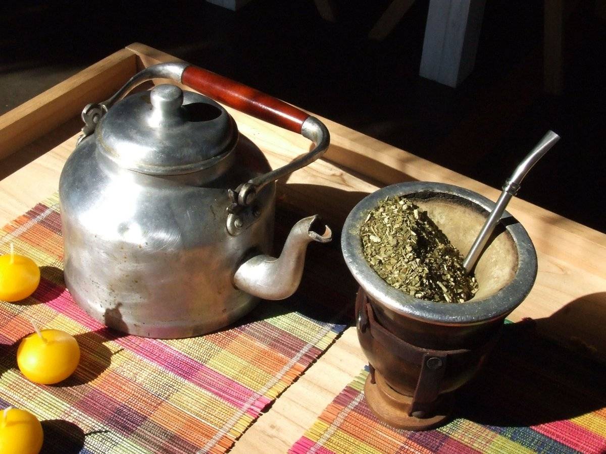 mate.jpg