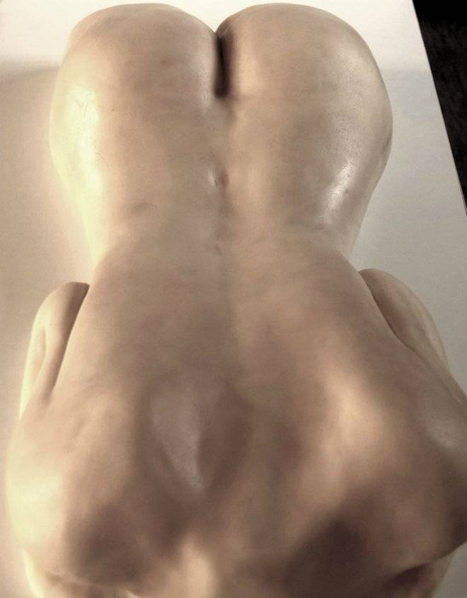 nakedtorsocake.jpg