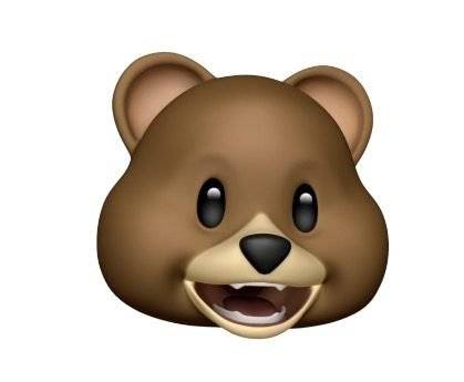 oso.jpg