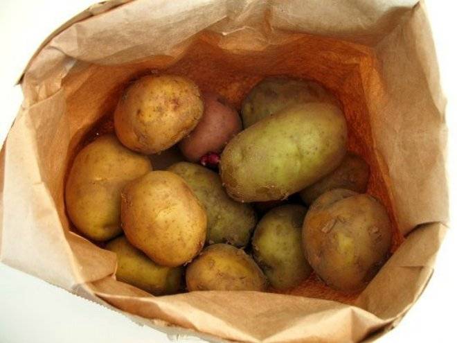 papas-3.jpg