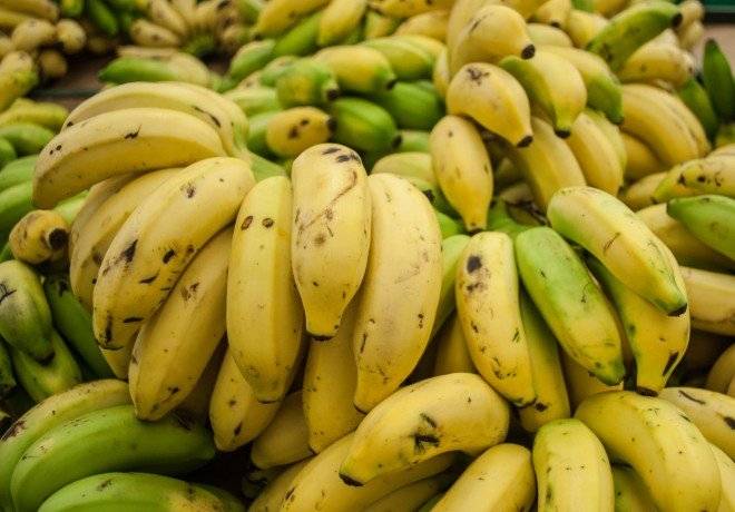 platano660x550-1.jpg
