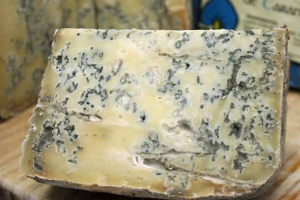 Comer quesos "fuertes" te hará vivir más años Sabrosía Nueva Mujer