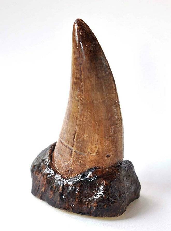 realisticchocolatesculpturesediblemuseumsarahhardy1.jpg