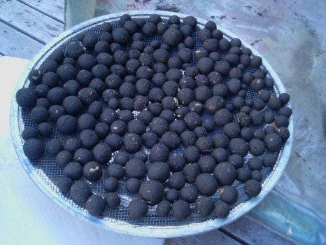 seedballs466x350.jpg