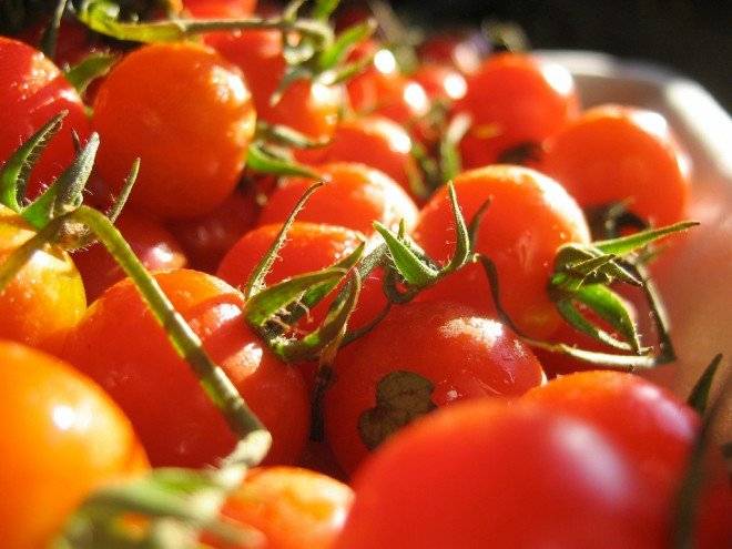 tomates660x495.jpg
