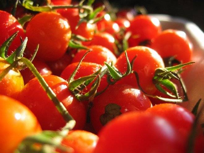 tomatesrojos660x550-1.jpg