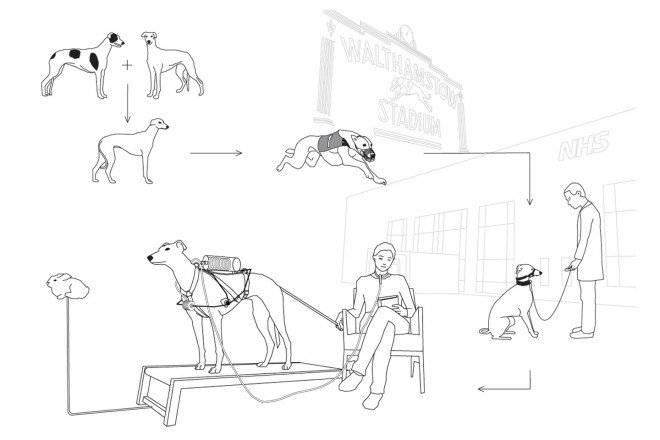 ventilationdog660x550.jpg