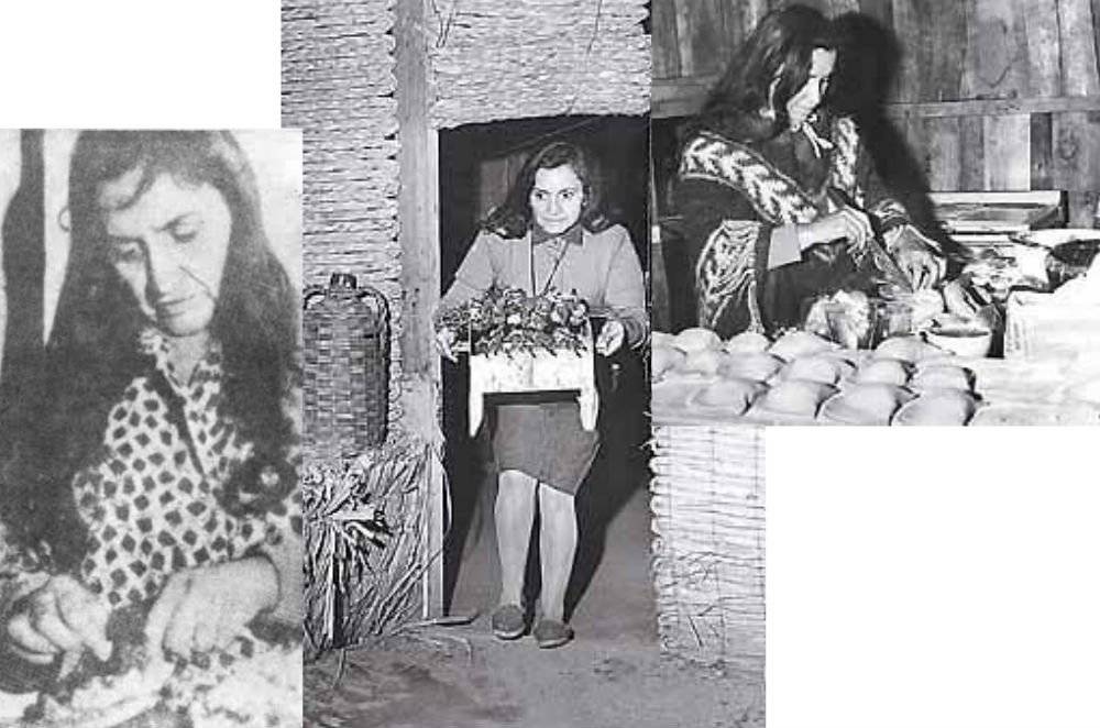 violeta.sabrosia.jpg