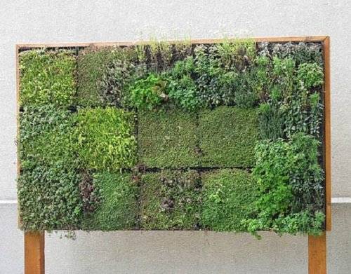 10smarthomeverticalgarden.jpg