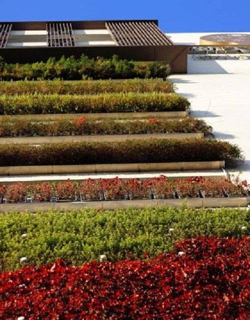 12terracedverticalgarden.jpg