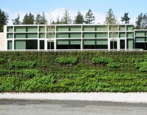 13vancouvergreenwall.jpg