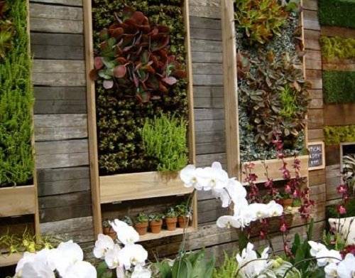 14livingwalldisplay.jpg
