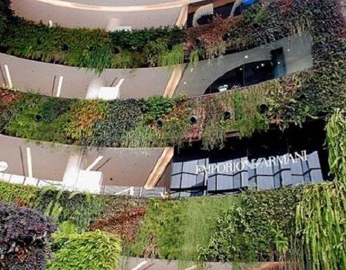 1siamparagonverticalgarden.jpg