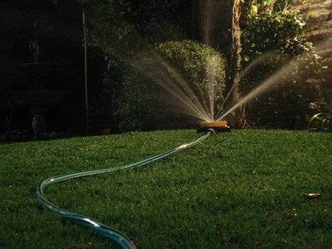 ¿Que hora es la mejor para regar? - VeoVerde | Nueva Mujer